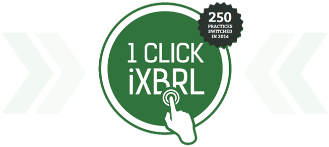 iXBRL Feature