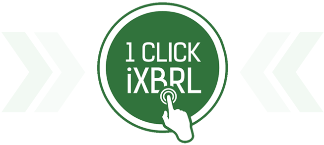 iXBRL Features